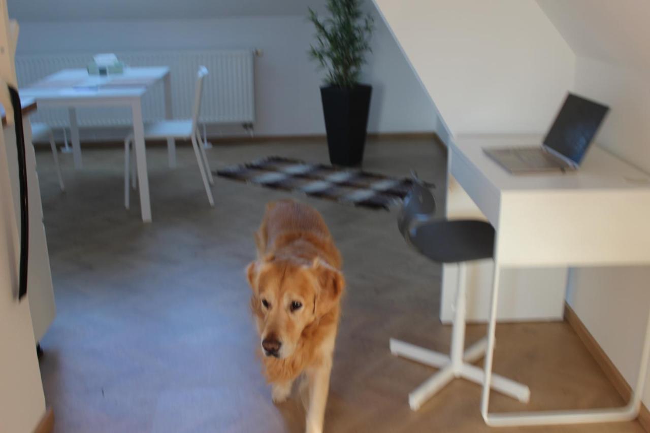 Apartamento Haus Semmi Fuerstenfeld Exterior foto